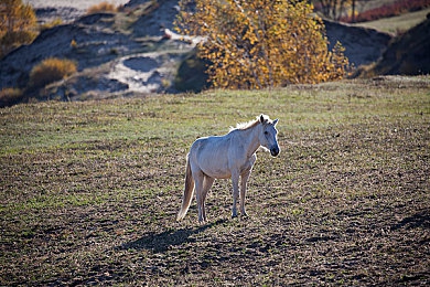 男生女生修修修轮滑鞋下载大全:极速改装,街头竞舞,性能与潮流的终极对决-3