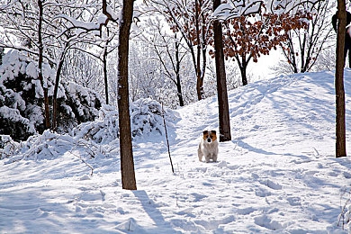 男生与女生一起差差差app：双人竞速新作极速搭档上线，性别差异驱动合作驾驶新玩法-2