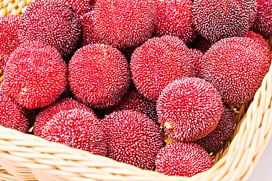 向日葵色板板：追逐地平线金色时刻，竞速游戏光影艺术全攻略-3