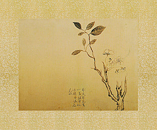 王者荣耀女英雄无爱心图片公:峡谷理性诗篇,女性战神的冷静美学与胜负哲学-4