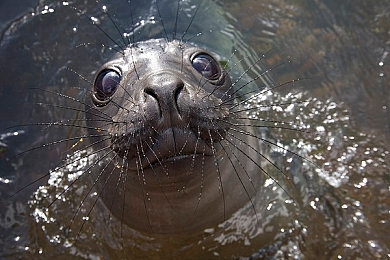 动漫 得到 无尽 向上：极速进化，动态赛道挑战你的驾驶极限-3