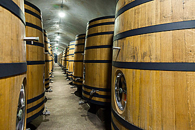 黄金软件3.0.3免费vivo版破解大全:极限竞速地平线深度攻略,掌握核心调校与驾驶技术解锁终极自由-3