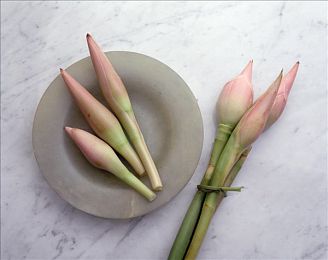 黄色男同:疾驰于霓虹,兄弟共铸竞速之魂-2