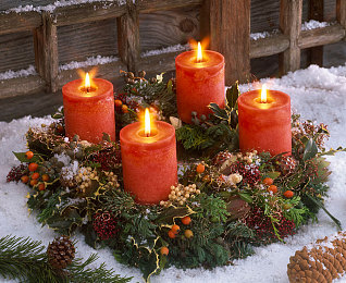 黄金软件app下载3.0.3oppo装妆2025:极速幻彩,未来赛道上的个性化改装艺术-5