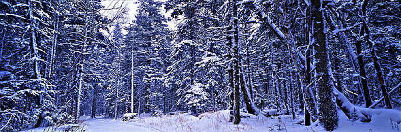操壁应用：垂直竞速革命降临，极限壁影开启三维赛道狂飙时代-3