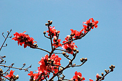 美女不穿衣服站在我面前APP：虚拟幻境中数据艺术的解构与重塑之旅-4