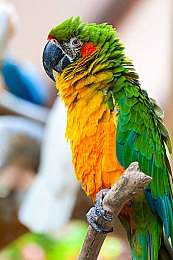 404污黄:数据深潜者,在崩溃的缓存城净化腐蚀代码-2