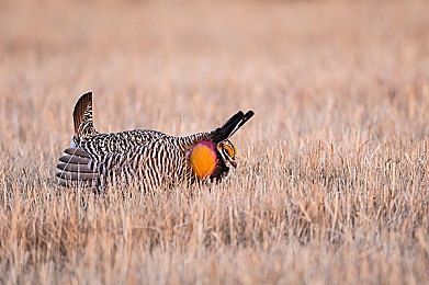 打拨克又痛又叫：极限竞速新体验，触觉反馈让驾驶失误代价真实可感-2