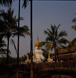 免费黄色小视频网站:霓虹赛道驾驭指南,全新光影竞速体验今日揭秘-2