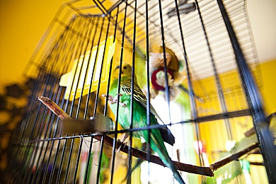 同性男同野外调教:荒野兄弟,极境驰骋与羁绊共铸-1