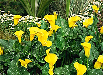 插阴道软件：极速狂飙赛道代码发布，编程调校开启竞速新纪元-3