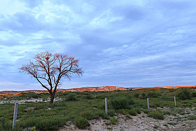 美女露奶头APP：虚拟社交与极速狂飙，未来都市竞速新体验-2
