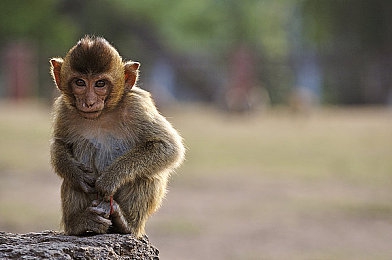 爱情岛论坛亚洲品质自拍线路:探索地平线五,打造专属视觉之旅与摄影攻略-1