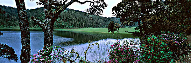 東京热下载：极速狂飙，东京街头热血追逐新体验-2