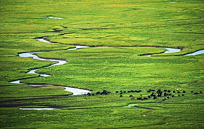 黄色软件软件下载安装2023版本：极速狂飙2023全新版本上线，黄金赛道与真实驾驶体验全面革新-2