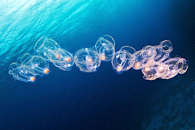 91吃瓜群：极限竞速地平线5，飙车改装共赴墨西哥狂欢盛宴-5