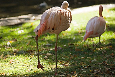 网战你应该明白我的意思吧：多人竞速心理博弈全解析，从入门到控场的实战进阶指南-3