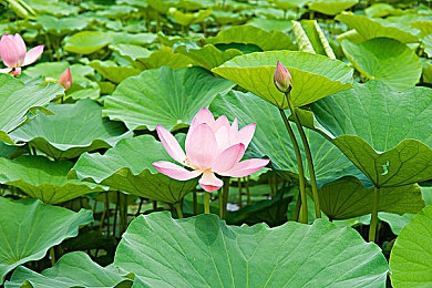 少好洗澡与子伦：洁净与狂飙，机械哲学的速度诗篇-2