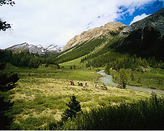 九色丨PORNY丨登录：霓虹竞速新纪元开启，九色能量赛道颠覆传统赛车玩法-2