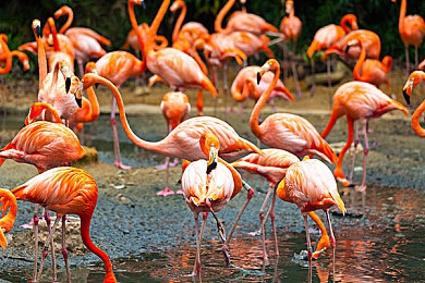 国产成人AV播放：极光互动打造硬核赛车模拟，霓虹都市开放世界驰骋终极挑战-3