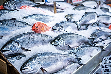 oppo手机黄色软件下载：在OPPO手机上驾驭氮气，体验都市飙车的视觉盛宴-3