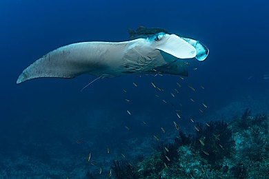 小孩和妈妈摘萝卜：温馨旅途，亲情驾驶，收获回忆的公路时光-5