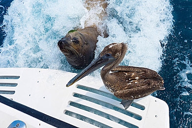 體育生自擼打飛機：硬核飞行模拟新作发布，从菜鸟到王牌的终极训练指南-2