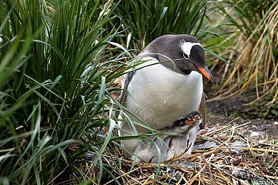 国产成人色播:《极速幻影》今日上线,虚拟竞速融合视觉美学引爆全新驾驶体验-5