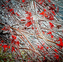 赤裸美女应用：极致改装艺术，揭秘赛车游戏中的工程美学盛宴-2