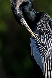 三上悠亚三级片：《极速狂飙：东京霓虹》正式发售，三段式进阶设计引领赛车游戏新体验-4