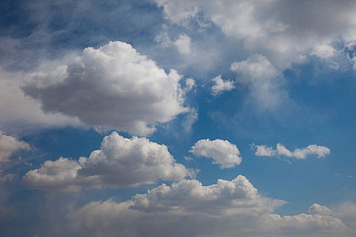 不知火舞和三个小孩在森林公园有图有真相:格斗女神跨界亲子冒险,拳皇全明星全新森林章节今日上线-2