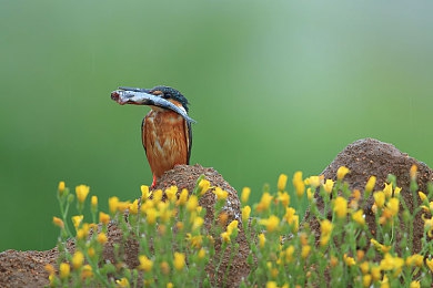男女在一起搓搓：双人共驾新体验，极速赛道考验默契与协作-4
