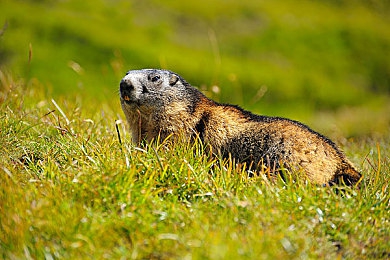 打扑克又痛又爽：极速狂飙与心理博弈，霓虹赛道上的资源豪赌-2