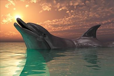 在线a:全时在线竞速时代来临,全球玩家同场飙车新纪元开启-2