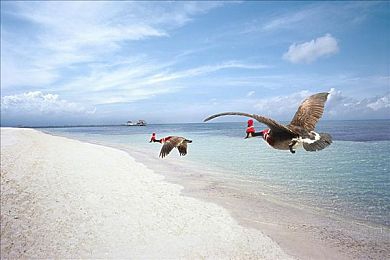 亚欧一级二区：极限竞速，横跨大陆的虚拟驾驶艺术之旅-4