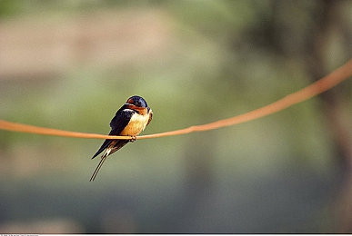 老婆三P视频:极速搭档,霓虹夜幕下的三重协奏曲-3