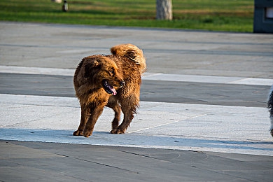 美女脱内裤软件：霓虹车姬隐藏改装模块，解锁极速轻量化竞速新策略-3