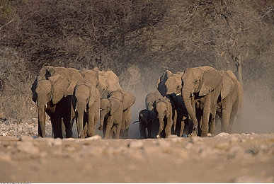 欧洲专线二区三区四区：征服欧陆三重赛道，《极限竞速：地平线》全新区域驾驶攻略揭秘-2