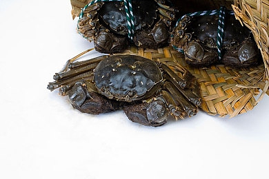 0.3.6.0黄色软件：极限改装隐藏涂装触发，官方攻略揭秘街头赛车超频模式-4