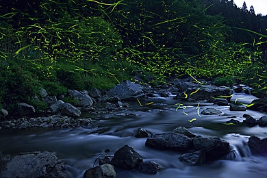 天美麻花果冻传媒：弹性竞速新作今日上线，碰撞策略颠覆传统驾驶体验-5