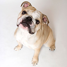 黄色WW：经典甲壳虫化身赛道猛兽，极限竞速地平线5深度改装攻略全揭秘-5