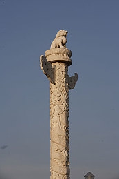 男女差差下载:竞速新纪元,双性驾驶策略颠覆传统赛道体验-3