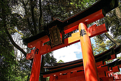 生活中的玛丽k8经典：复古英雄与极速世界的像素交融之旅-4