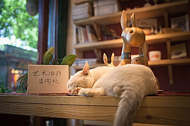 刷子刷美女班主任脚底心：治愈方向盘与压力缓解挑战之旅