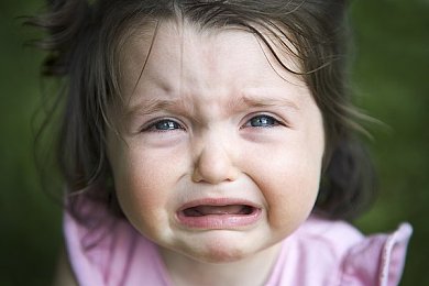 A∨成人：墨西哥画卷上，从青涩到传奇的驾驶诗篇-2