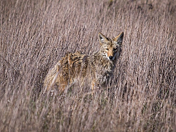 女生需要男生的地方软件或视频：极速地平线，双人协奏曲，共赴墨西哥风情之旅-4