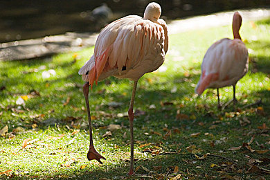 好·色·先·生·TV:在墨西哥画卷中疾驰,用镜头与涂装谱写你的视觉诗篇-3