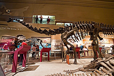 欧美亚洲五月天：轰鸣的庆典，多元文化竞速的交响之旅