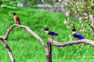 校花自慰：校园极速传说单人计时赛，挑战自我刷新纪录的竞速乐趣-3