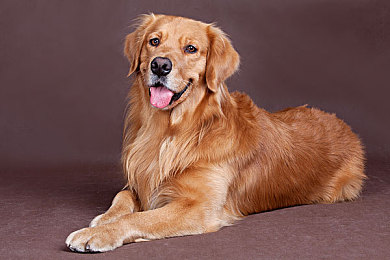 搞鸡软件：当虚拟轮胎咬合现实物理的调校艺术-3